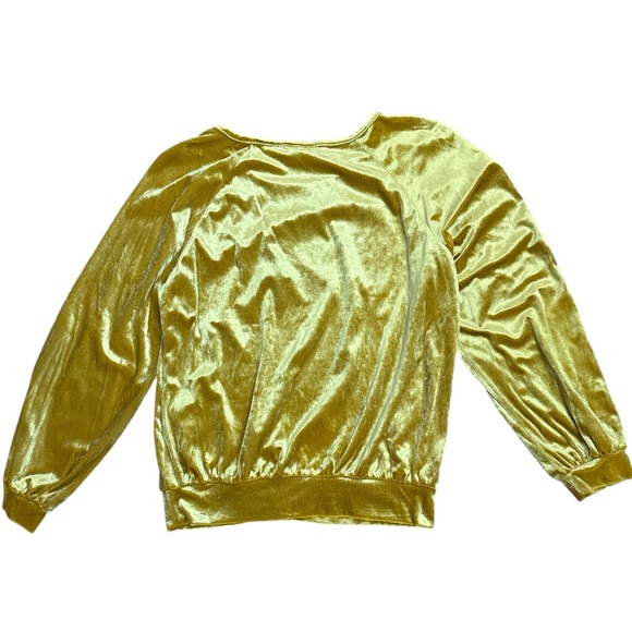 Maeve Gold Velvet Blouse - Picture 3 of 6